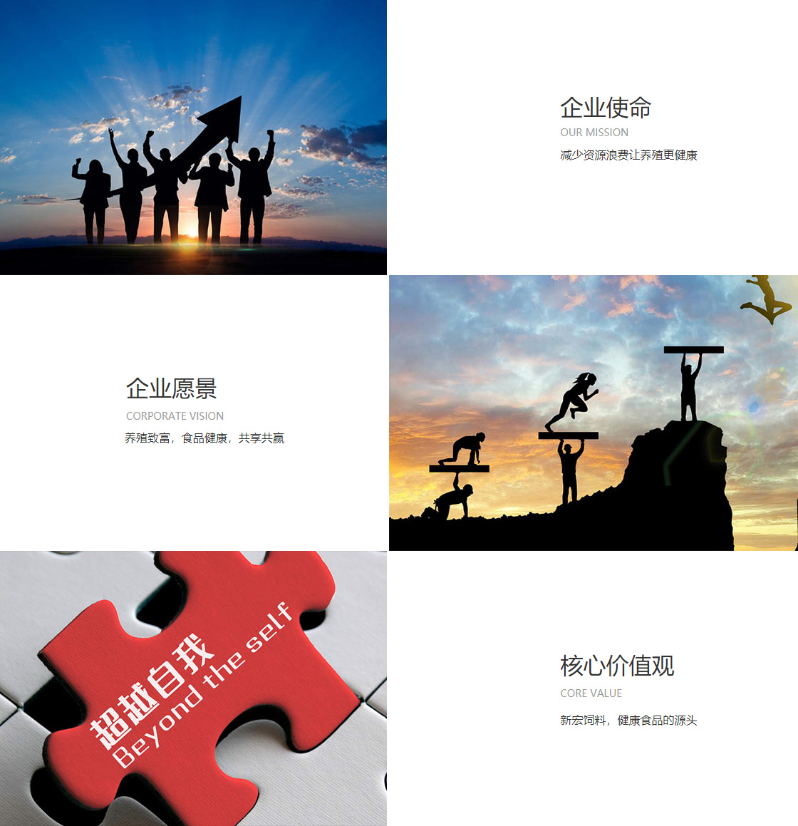 九游官方网页版(图1)